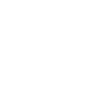 logo thinko